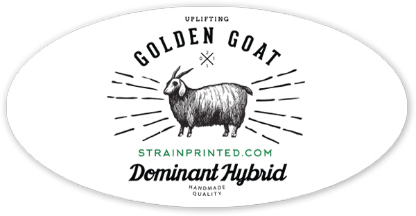 Golden Goat Sticker